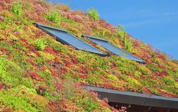 Pye Green living roof systems